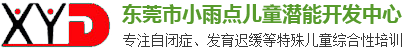东莞市小雨点儿童潜能开发中心